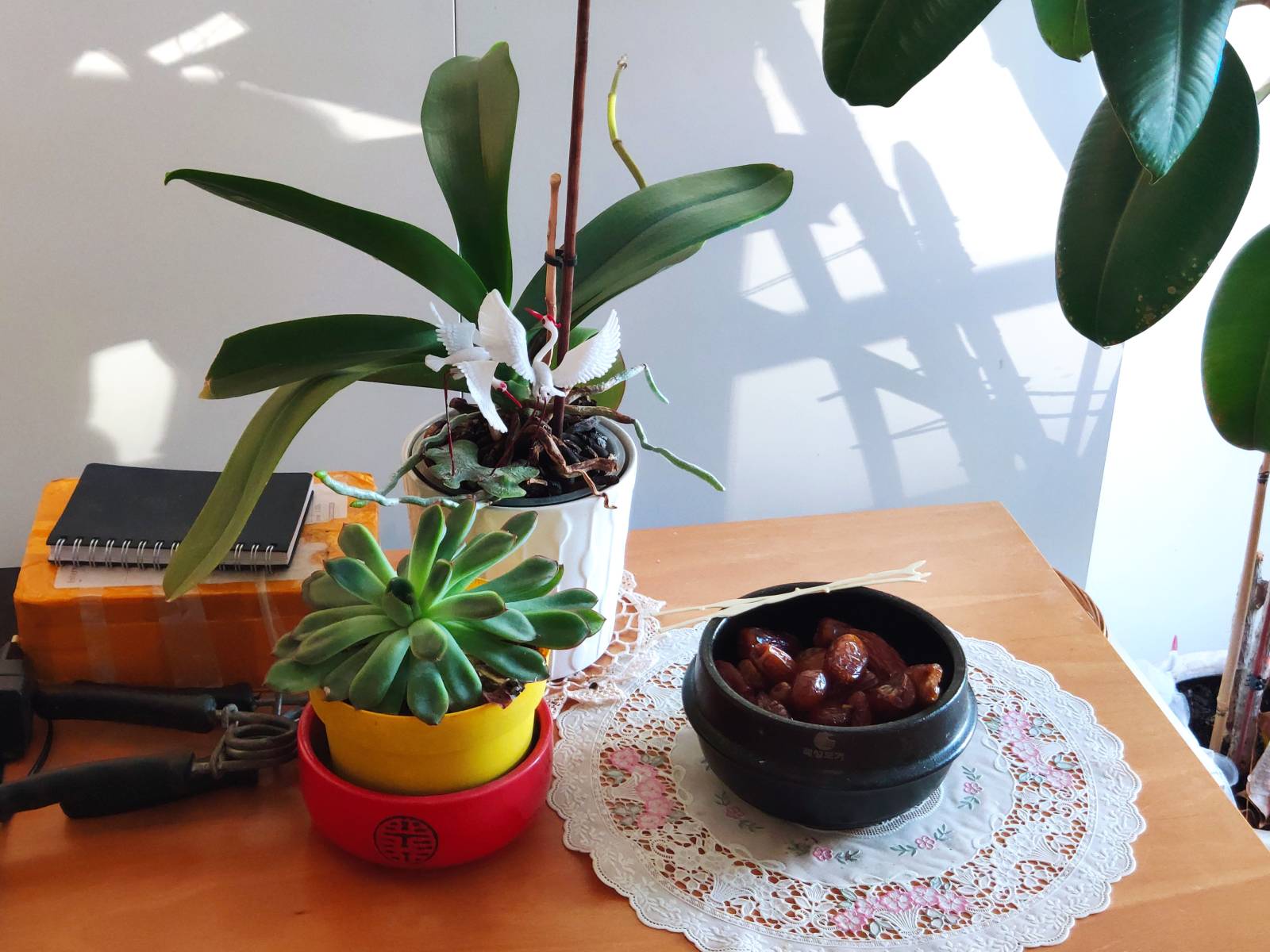 5 activités saines pour d'avoir un bon d'esprit ce weekend à Marseille